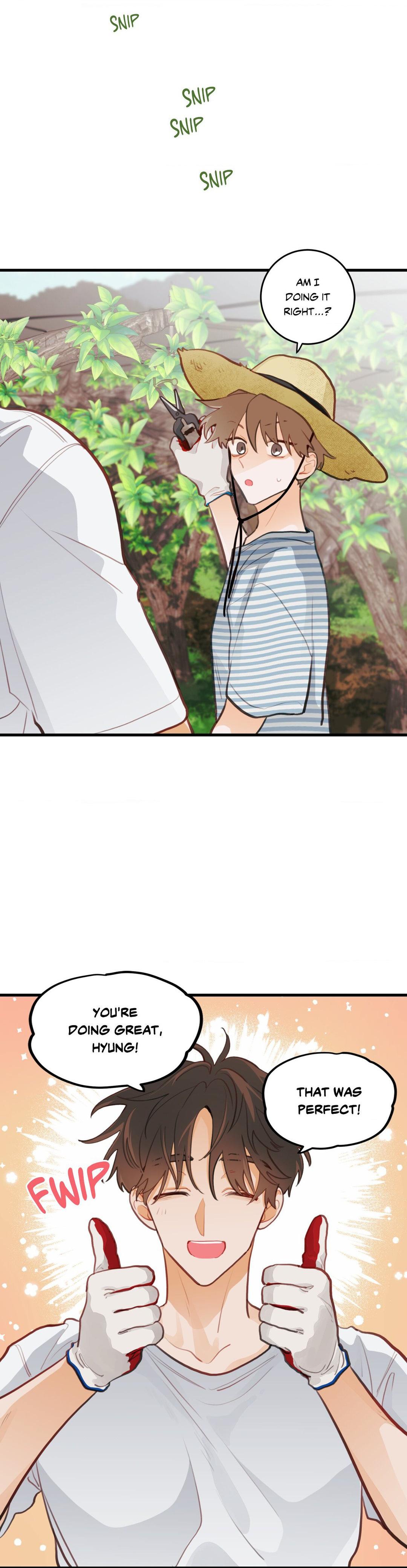 When Pear Blossoms Bloom - Chapter 16  : Official Translation manhwa