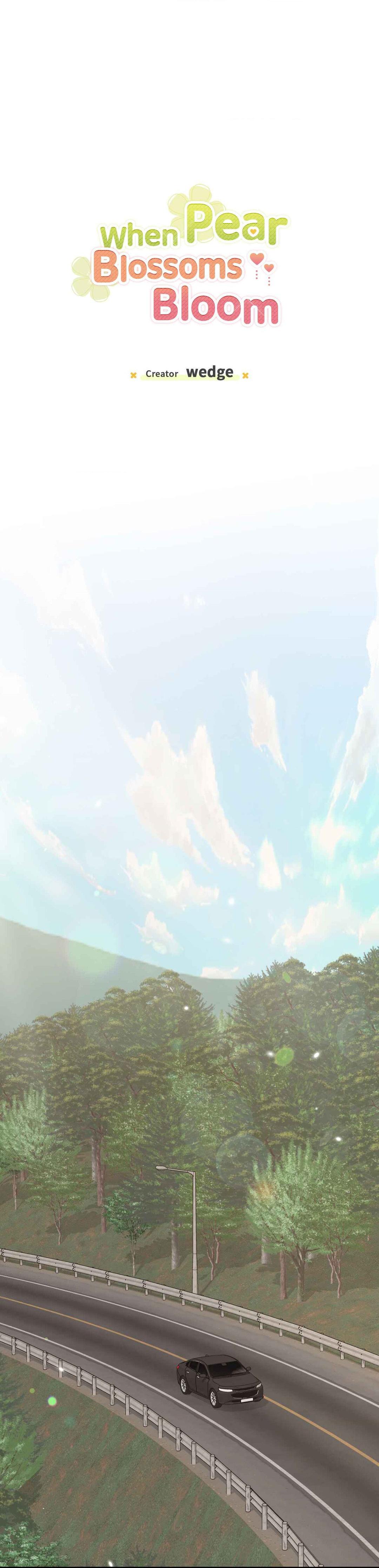 When Pear Blossoms Bloom - Chapter 22  : Official Translation manhwa