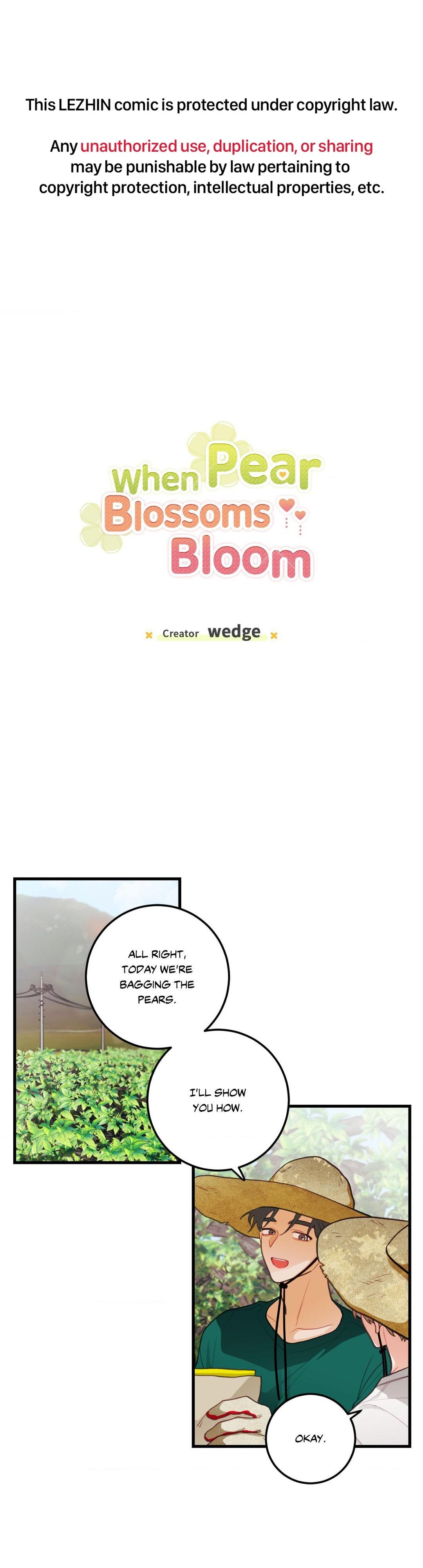 When Pear Blossoms Bloom - Chapter 35  : Official Translation manhwa