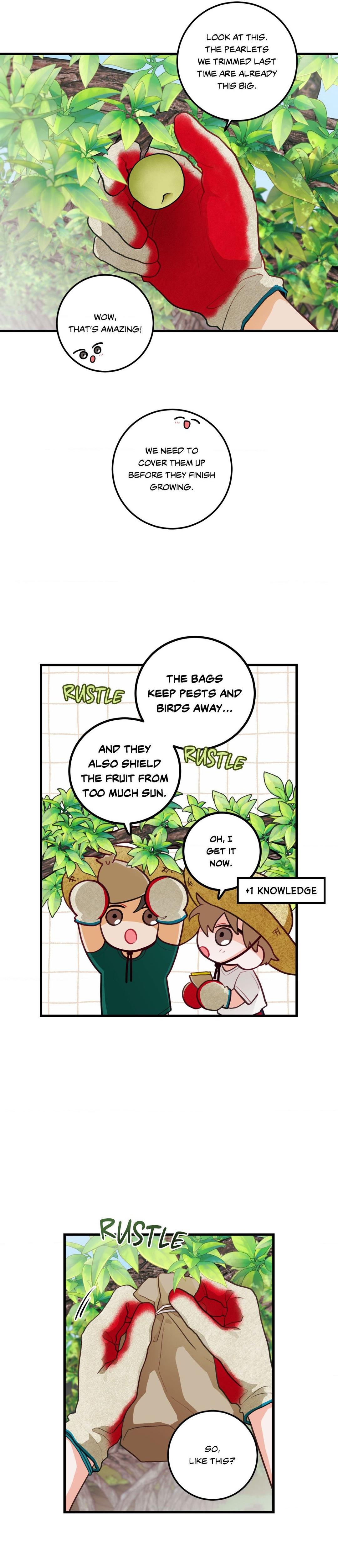 When Pear Blossoms Bloom - Chapter 35  : Official Translation manhwa