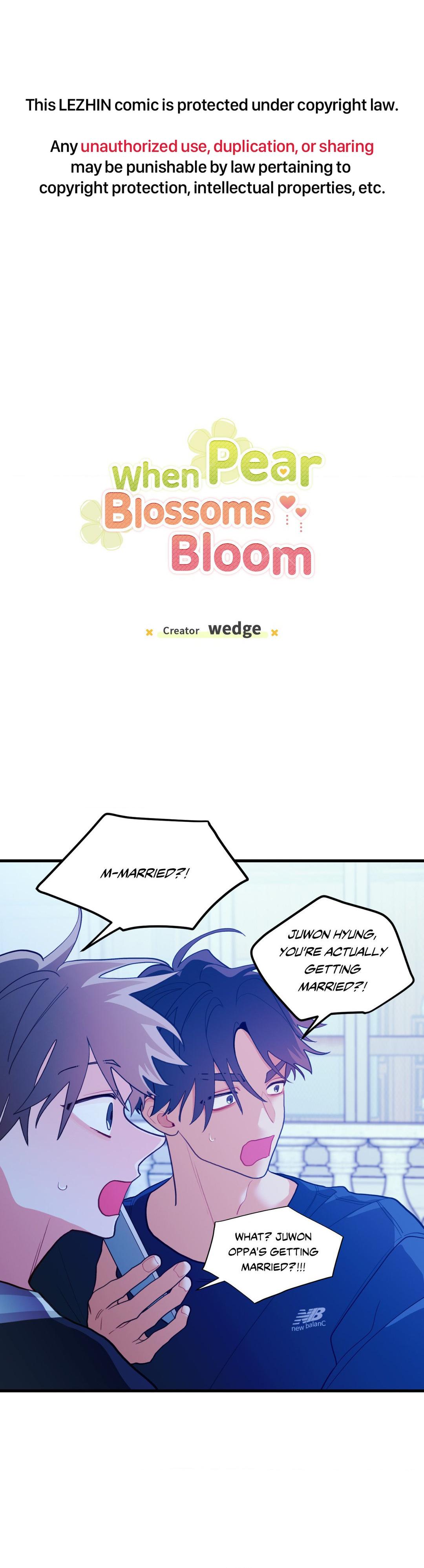 When Pear Blossoms Bloom - Chapter 39  : Official Translation manhwa