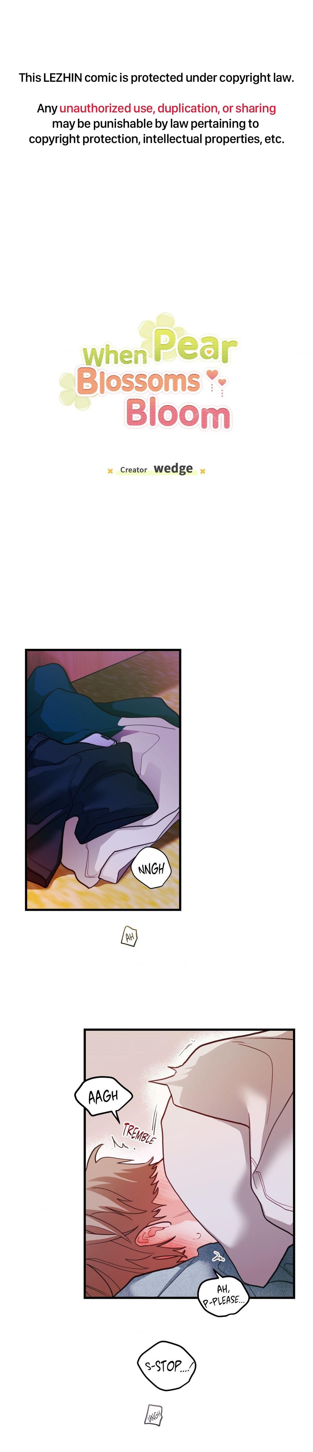 When Pear Blossoms Bloom - Chapter 44  : Official Translation manhwa
