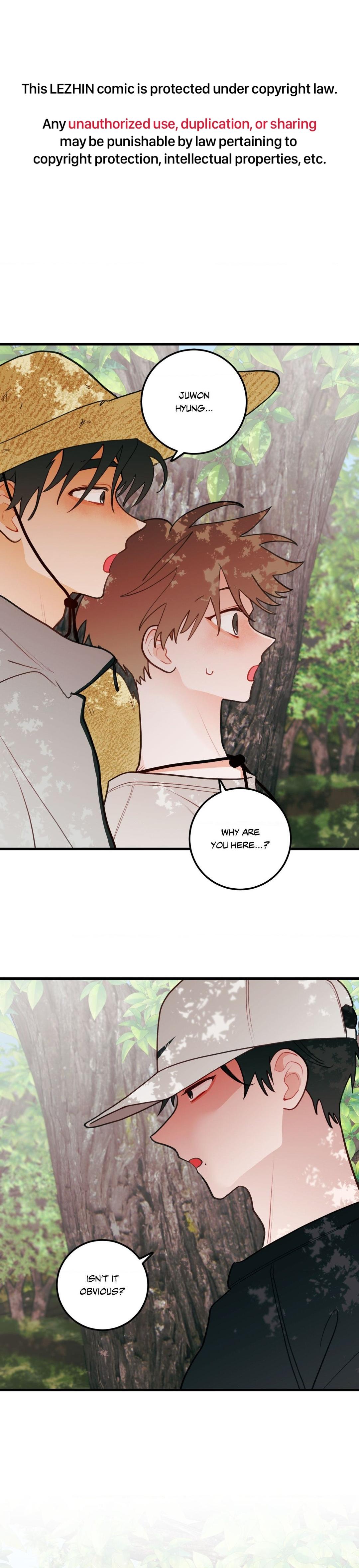 When Pear Blossoms Bloom - Chapter 46  : Official Translation manhwa