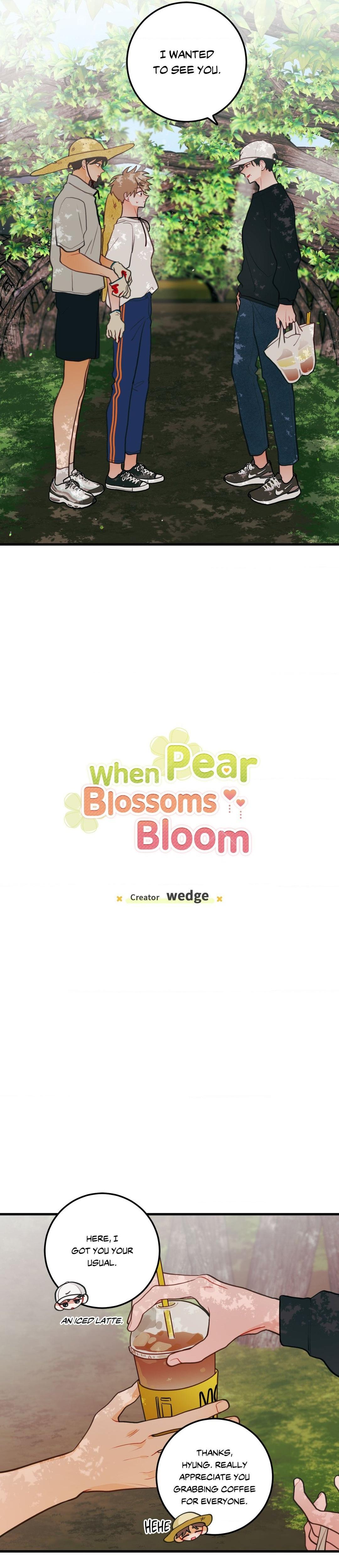 When Pear Blossoms Bloom - Chapter 46  : Official Translation manhwa