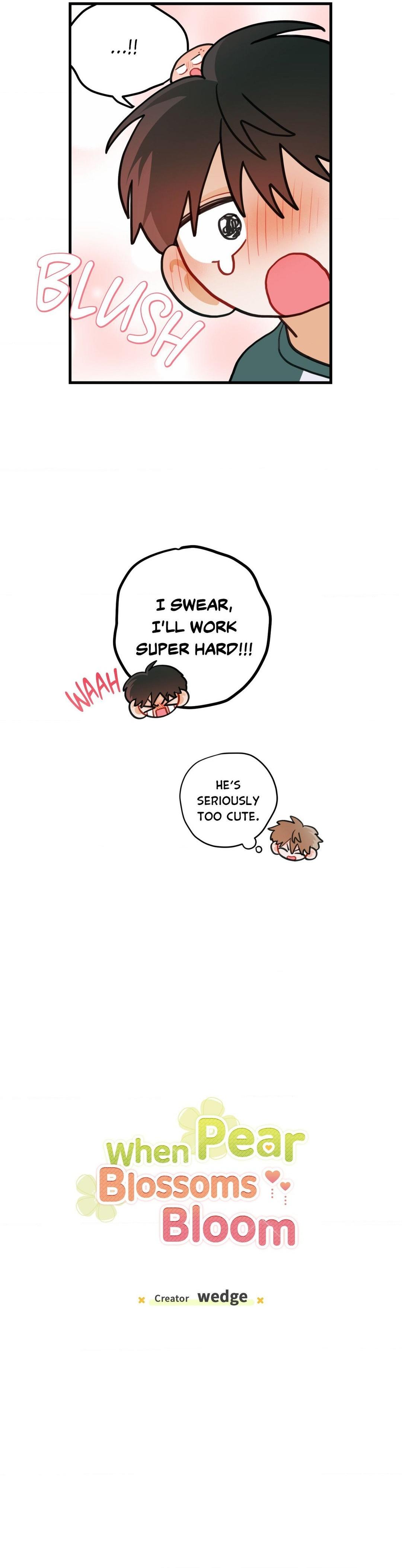 When Pear Blossoms Bloom - Chapter 47  : Official Translation manhwa
