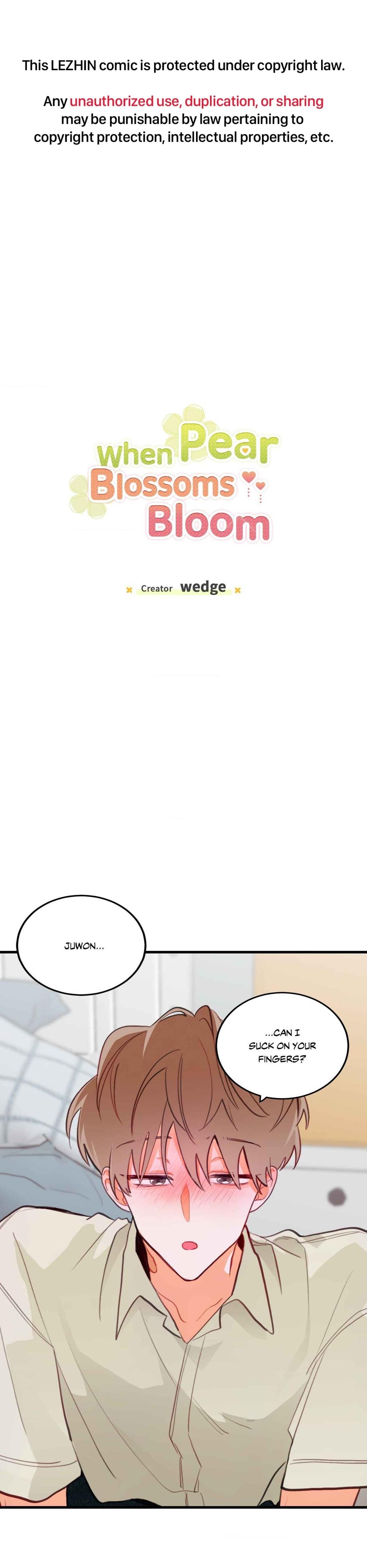 When Pear Blossoms Bloom - Chapter 7  : Official Translation manhwa
