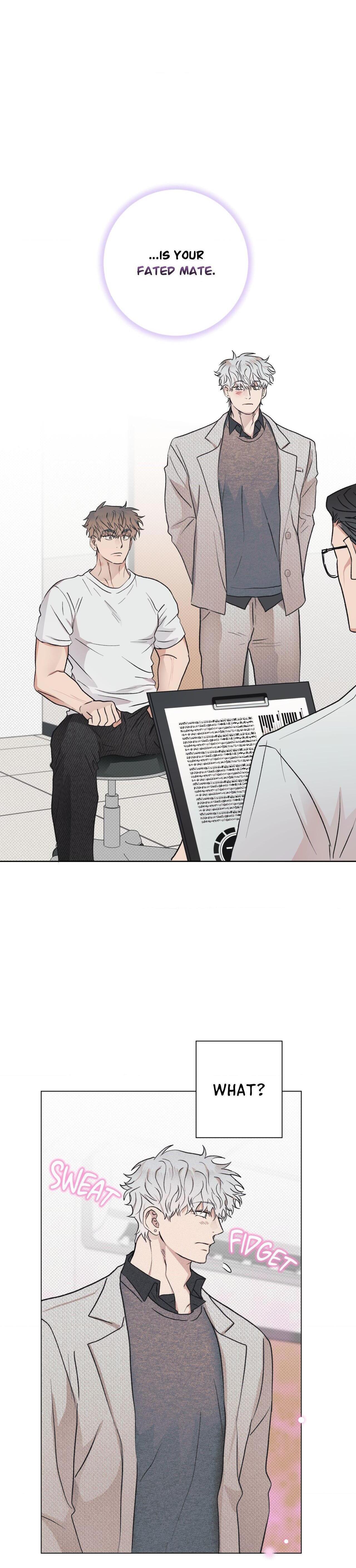 Fated But Flawed - Chapter 5 : (Official Chapter) manhwa