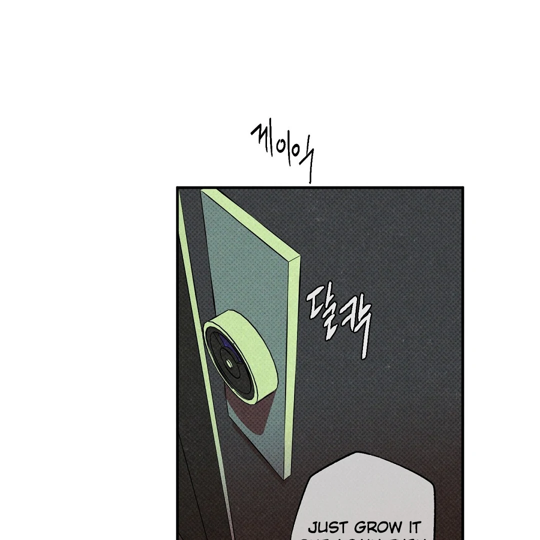 Wet Sand - Chapter 80  : Reunited🔞 manhwa