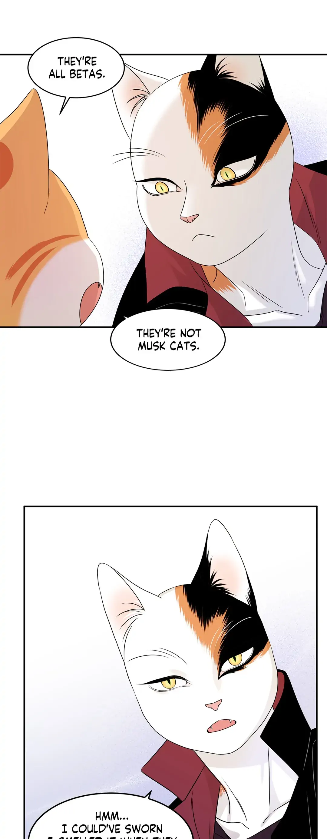 Blue Project [Official] - Chapter 11 manhwa