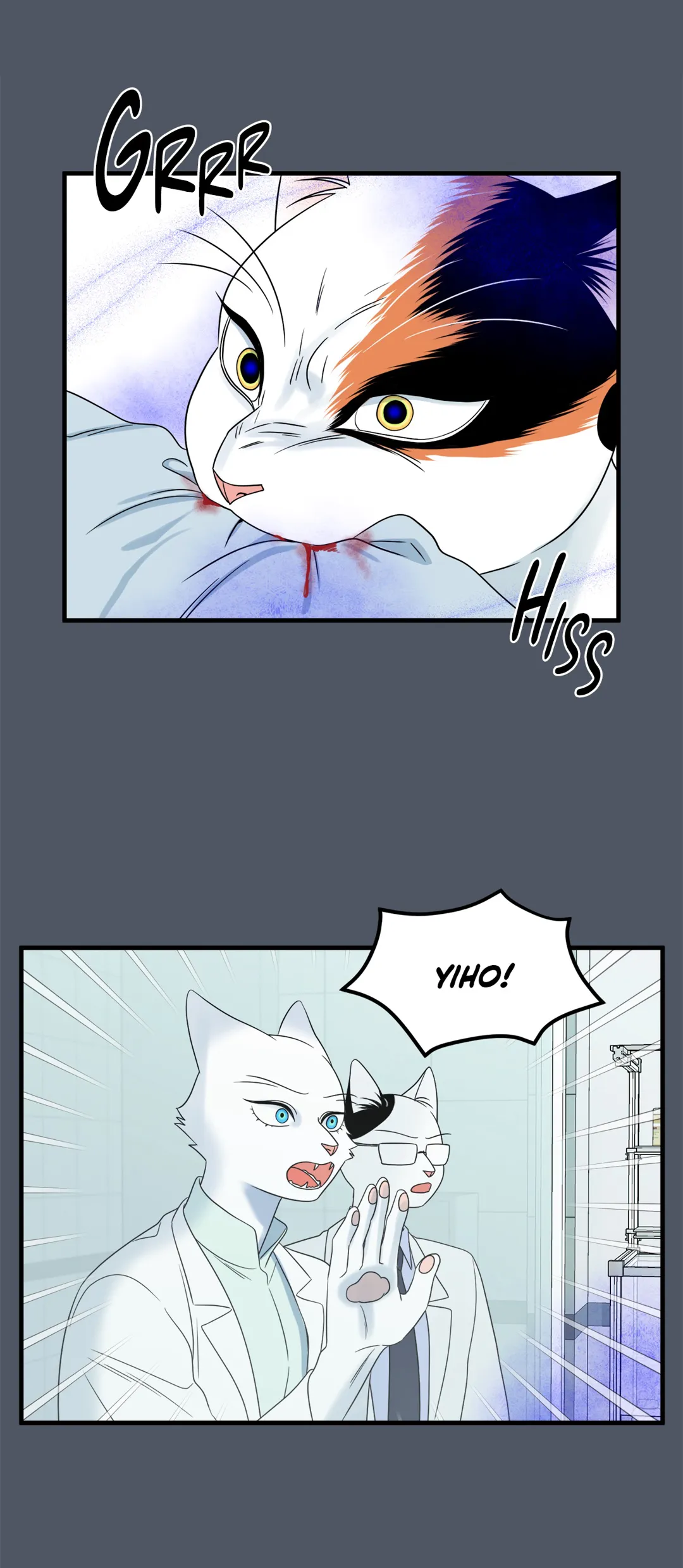 Blue Project [Official] - Chapter 42 manhwa