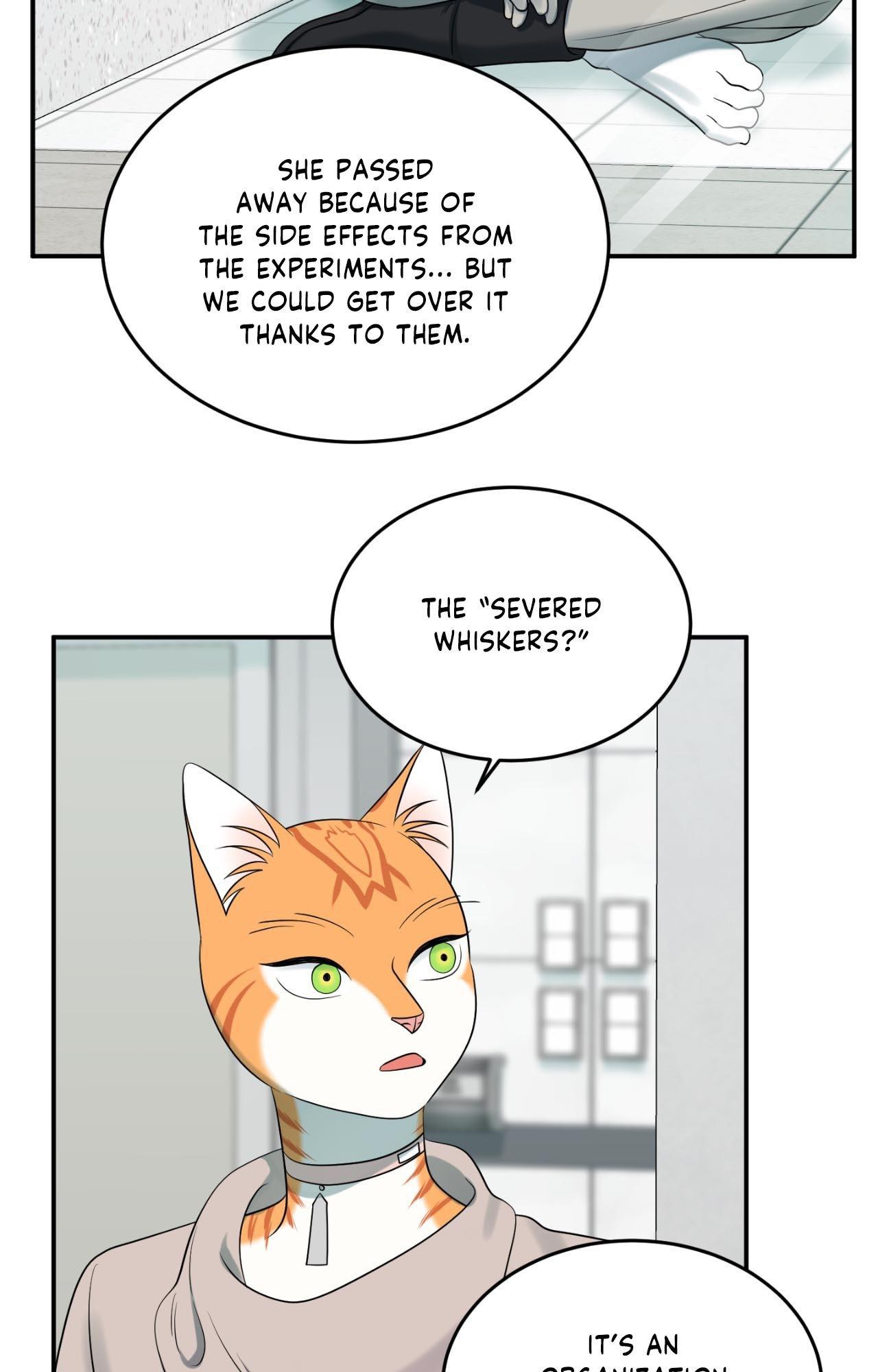 Blue Project [Official] - Episode 65 manhwa
