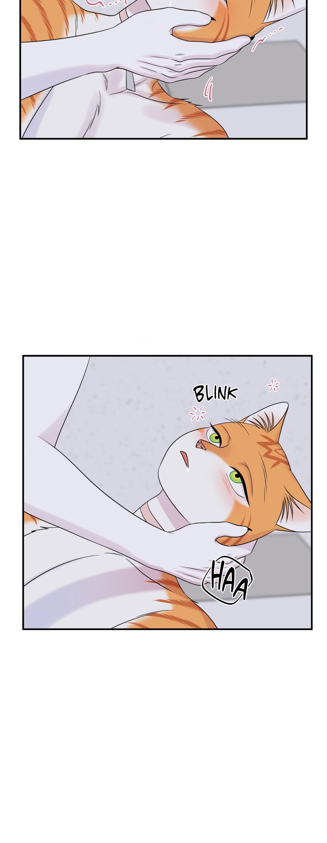 Blue Project [Official] - Episode 79 manhwa