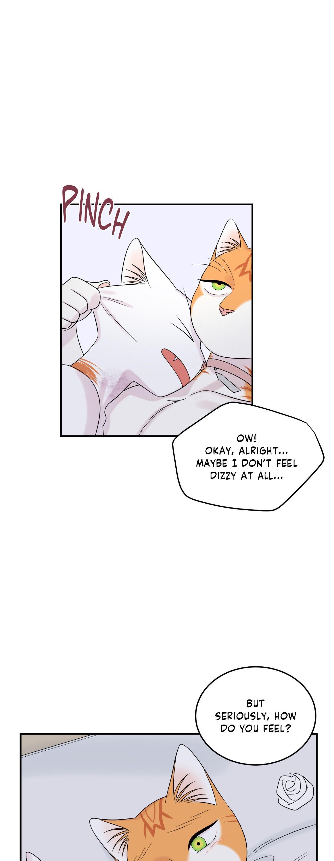 Blue Project [Official] - Episode 79 manhwa