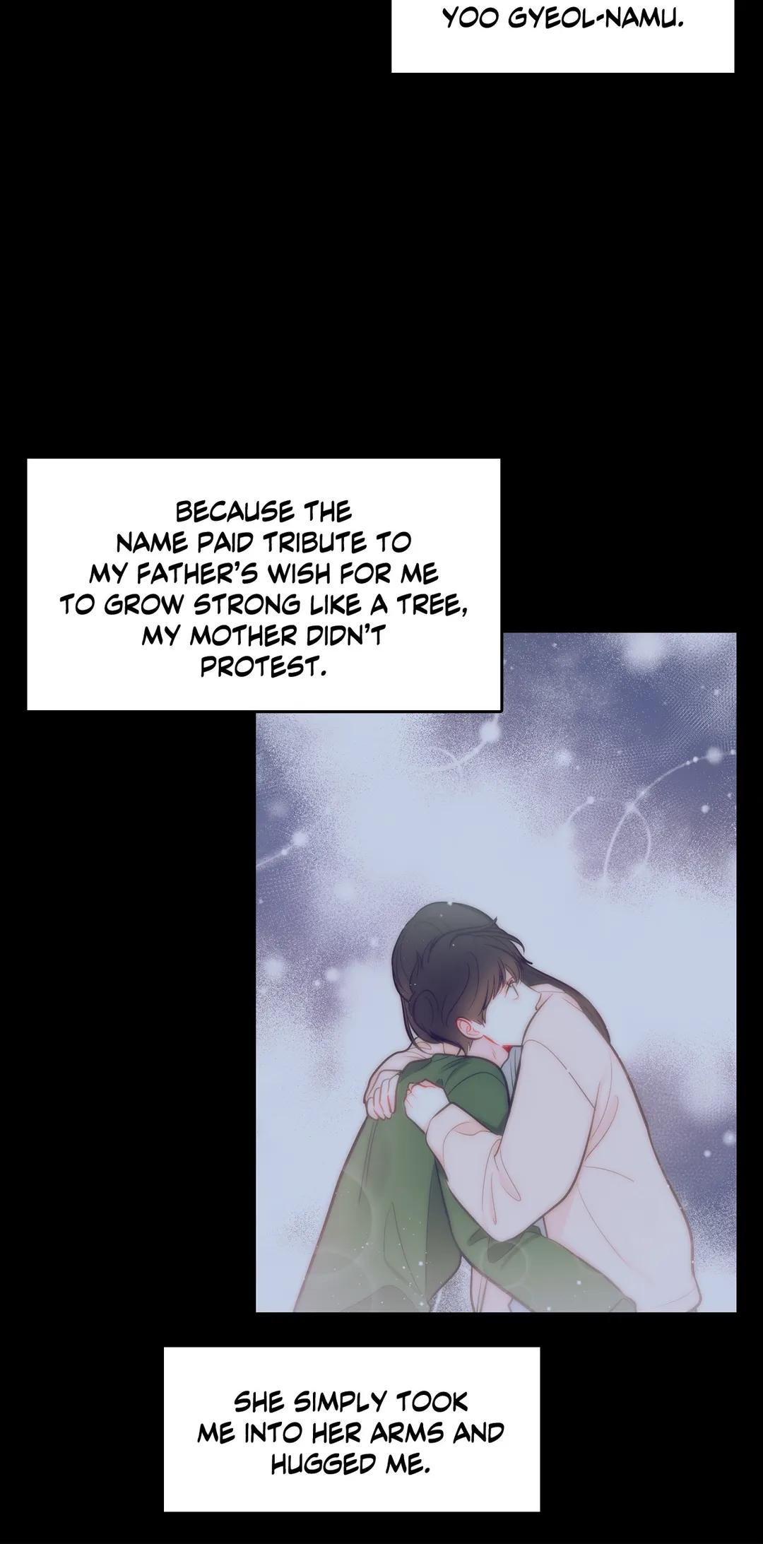 The Path of a Star「Official」 - Chapter 40 manhwa
