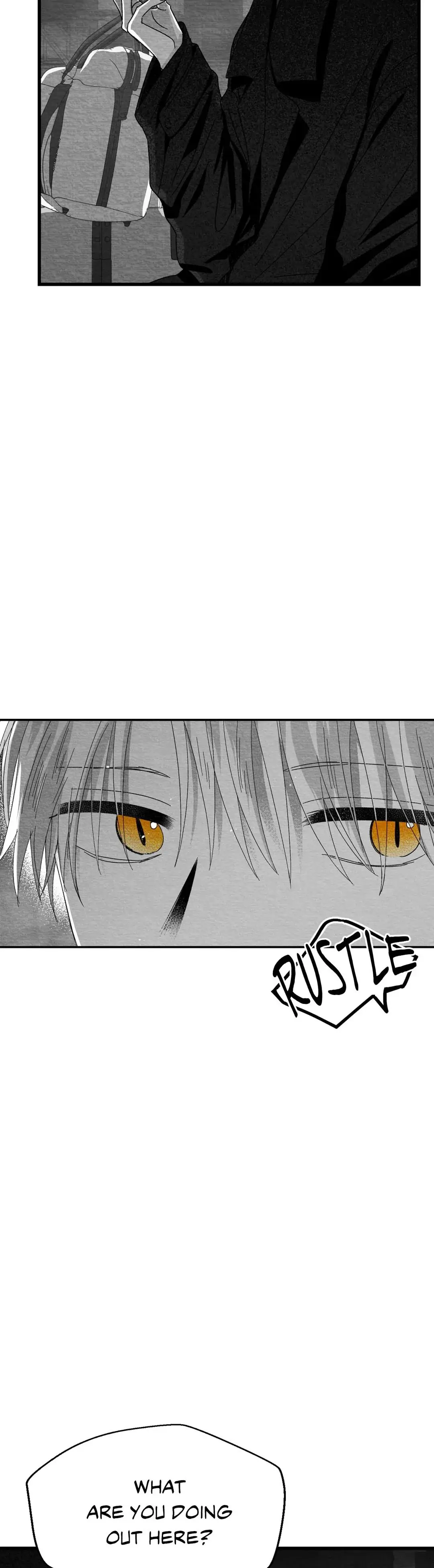 Bound to Be «Official» - Chapter 11 manhwa