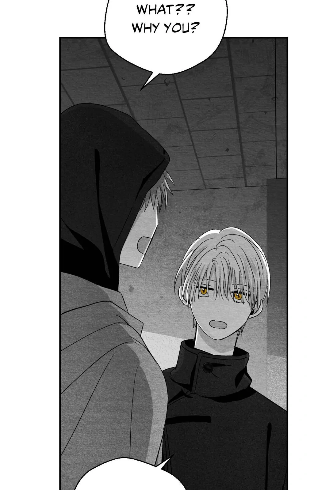 Bound to Be «Official» - Chapter 81 manhwa