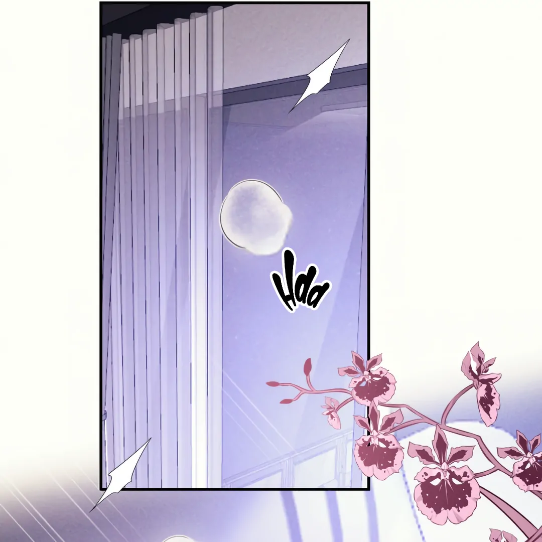 Kill My Love [Team Hazama] - Chapter 80 manhwa