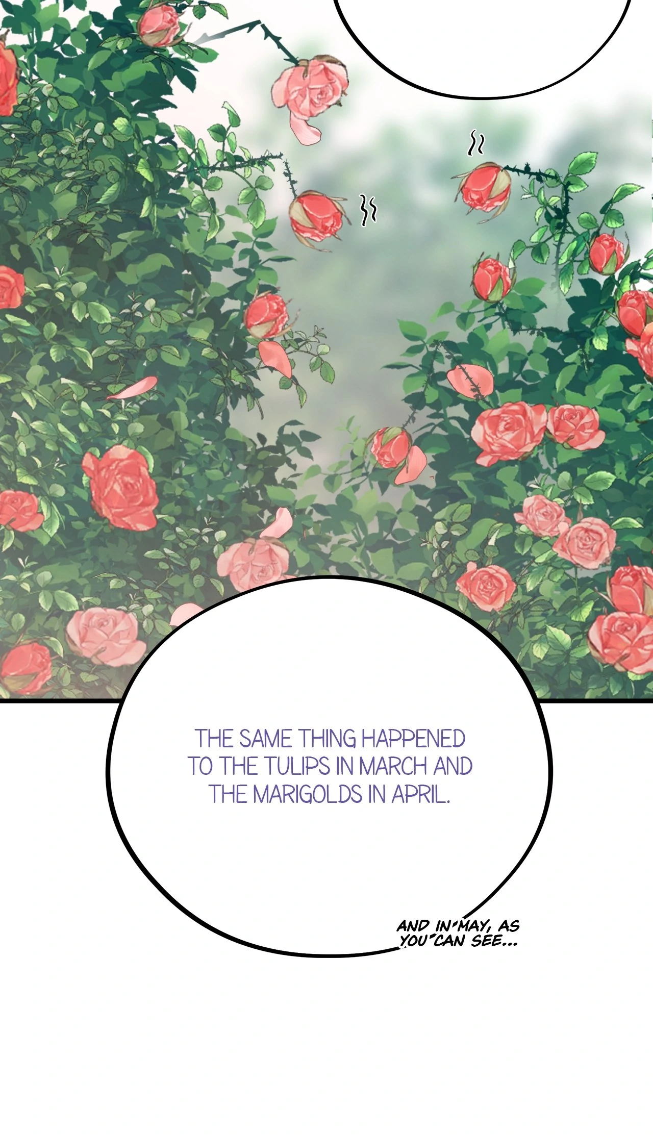 Honey Bear 〘Mature Official〙 - Chapter 70 manhwa