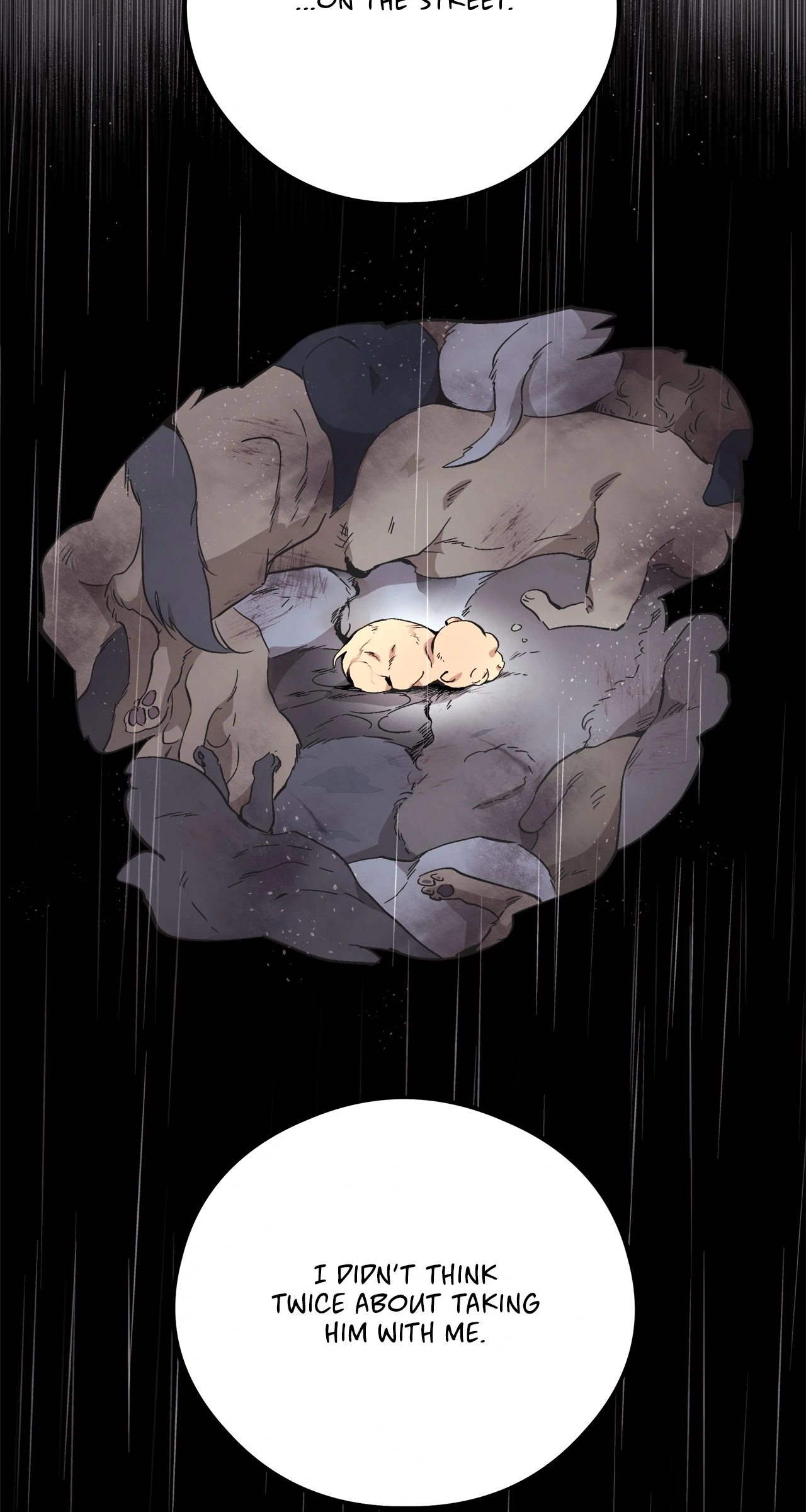 Honey Bear 〘Mature Official〙 - Chapter 71 manhwa