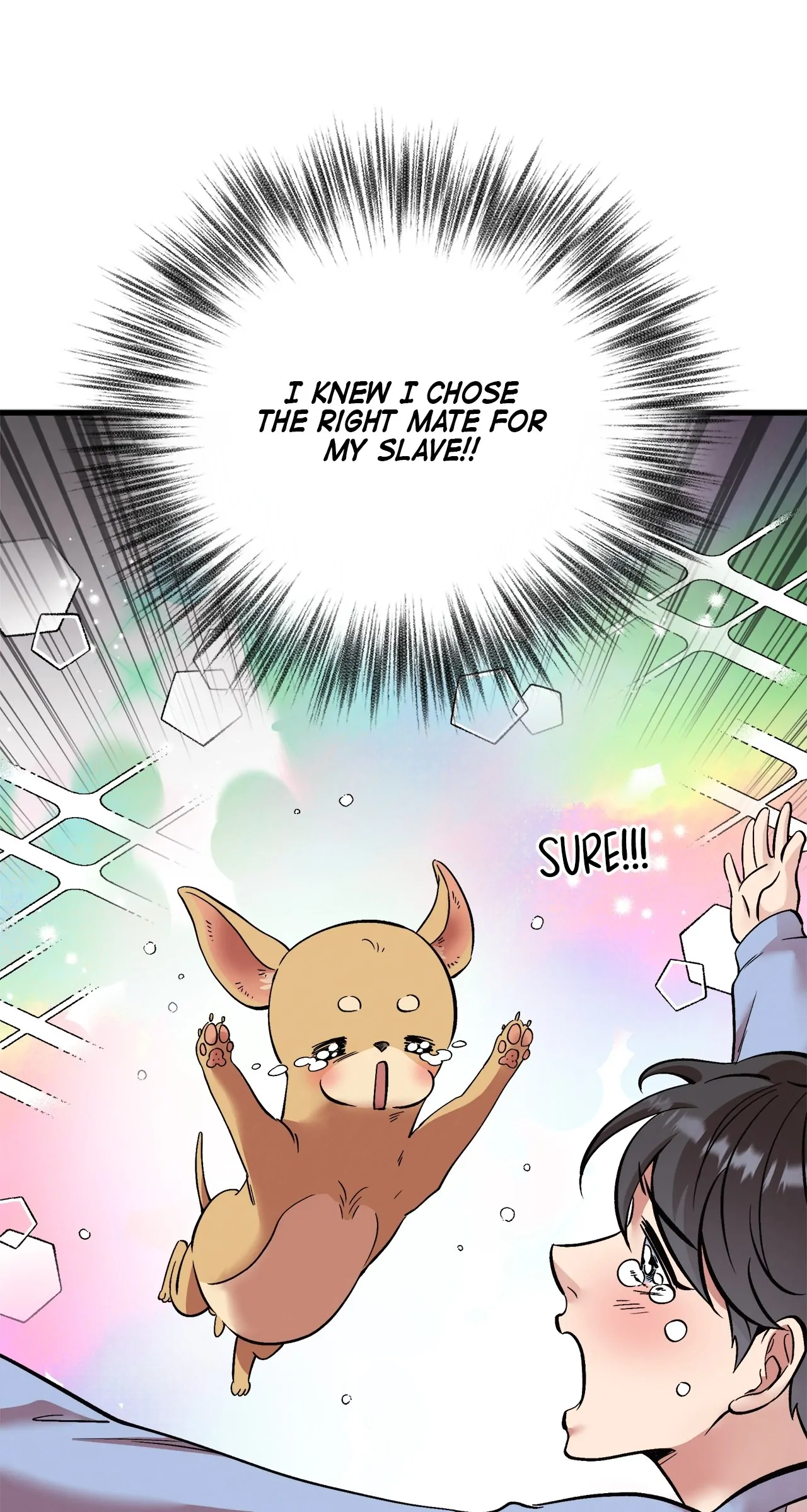 Honey Bear 〘Mature Official〙 - Chapter 71 manhwa