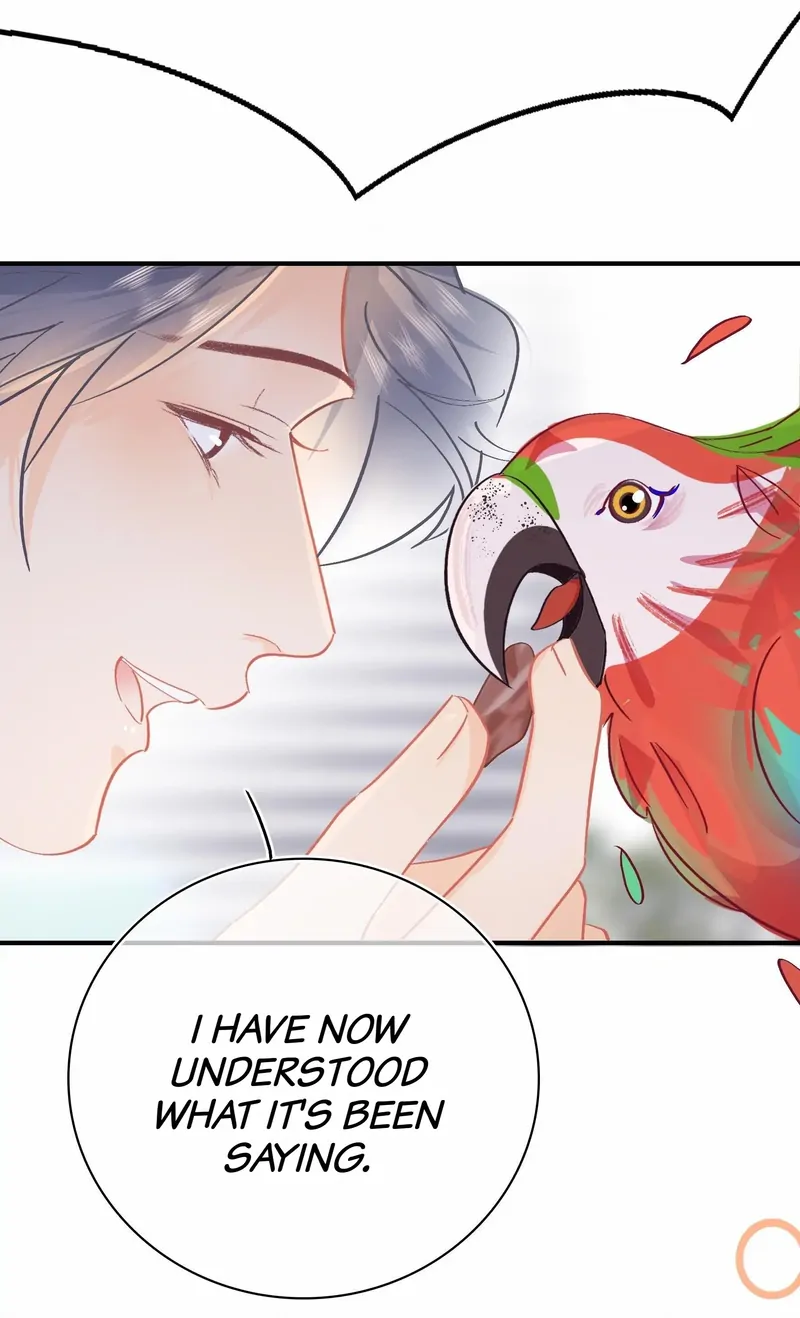 Turing Code (Official) - 77 - The Engagement Before The Engagement manhwa