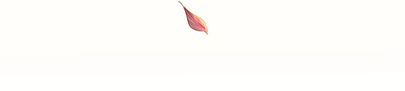 Our Young Master’s Plans are Infallible [Official] - 104 - Not Hiding or Avoiding manhwa