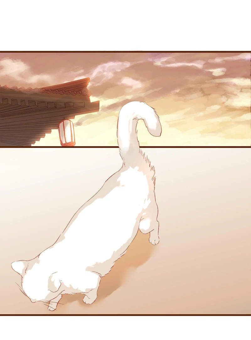 Our Young Master’s Plans are Infallible [Official] - 3 - We Never Sell Fake Medicine manhwa