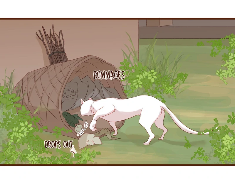 Our Young Master’s Plans are Infallible [Official] - 3 - We Never Sell Fake Medicine manhwa