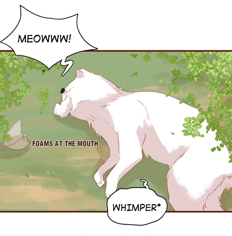 Our Young Master’s Plans are Infallible [Official] - 3 - We Never Sell Fake Medicine manhwa
