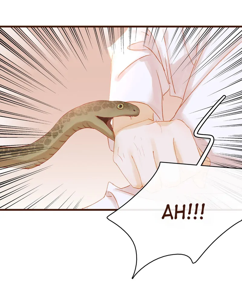 Our Young Master’s Plans are Infallible [Official] - 30 - Woman With A Venomous Heart manhwa