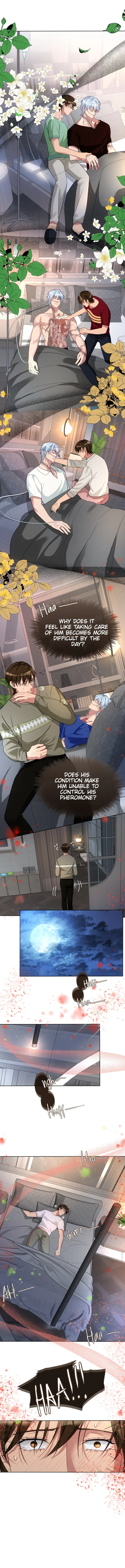 Mated To The Ruthless Alpha [UNCENSORED] - Chapter 13 manhwa