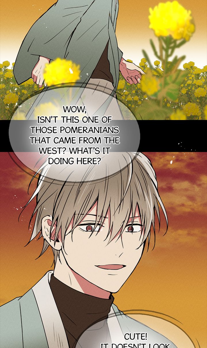 Lucky Credit [Official] - S2 Episode 58 manhwa
