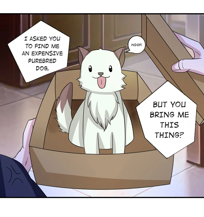 How to Raise a Cross Dressing Master [Official] - 41 - Bolt manhwa