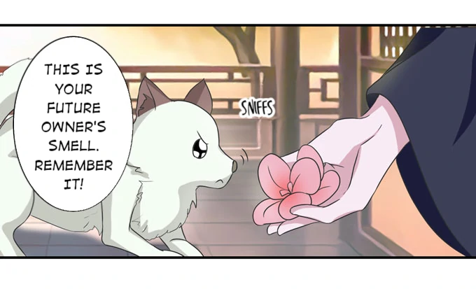 How to Raise a Cross Dressing Master [Official] - 41 - Bolt manhwa