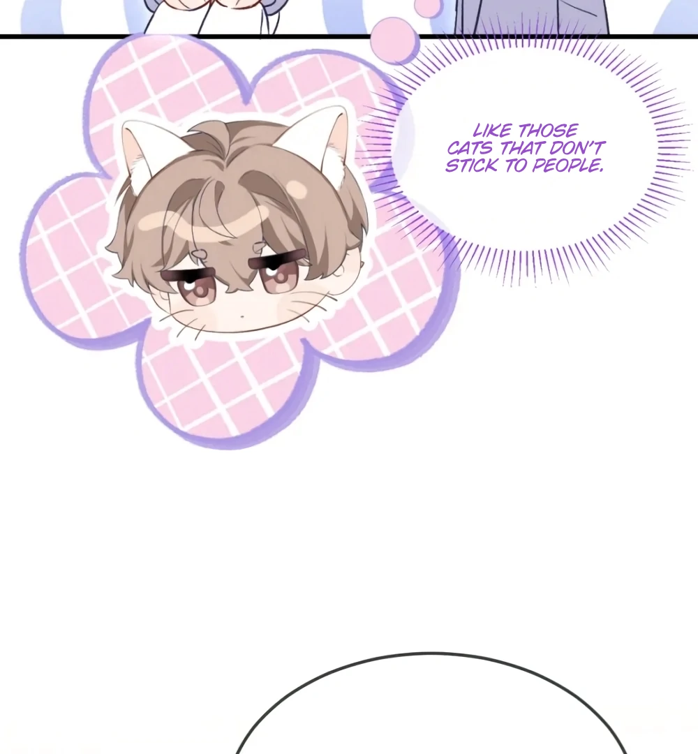 Fanservice Paradox - Chapter 31 manhwa