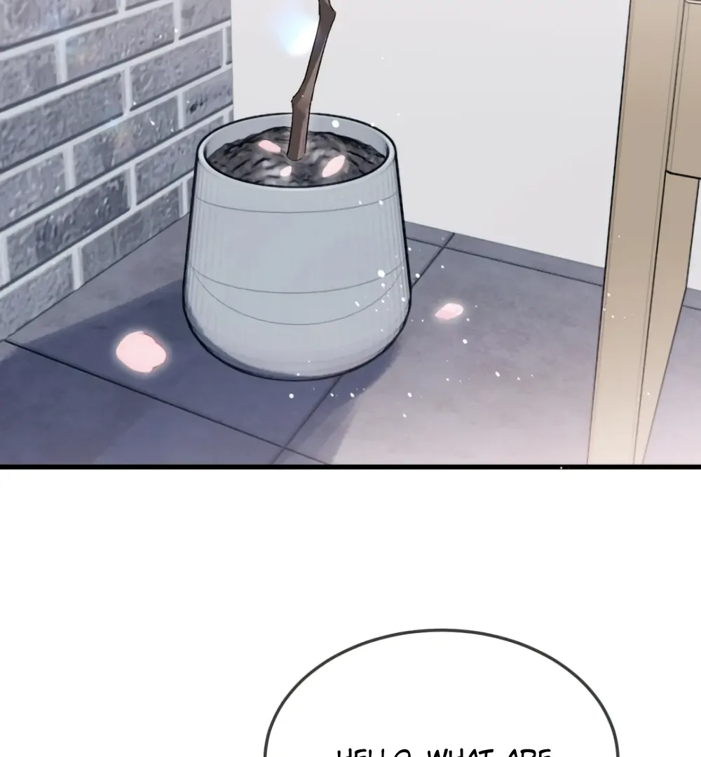 Fanservice Paradox - Chapter 34 manhwa
