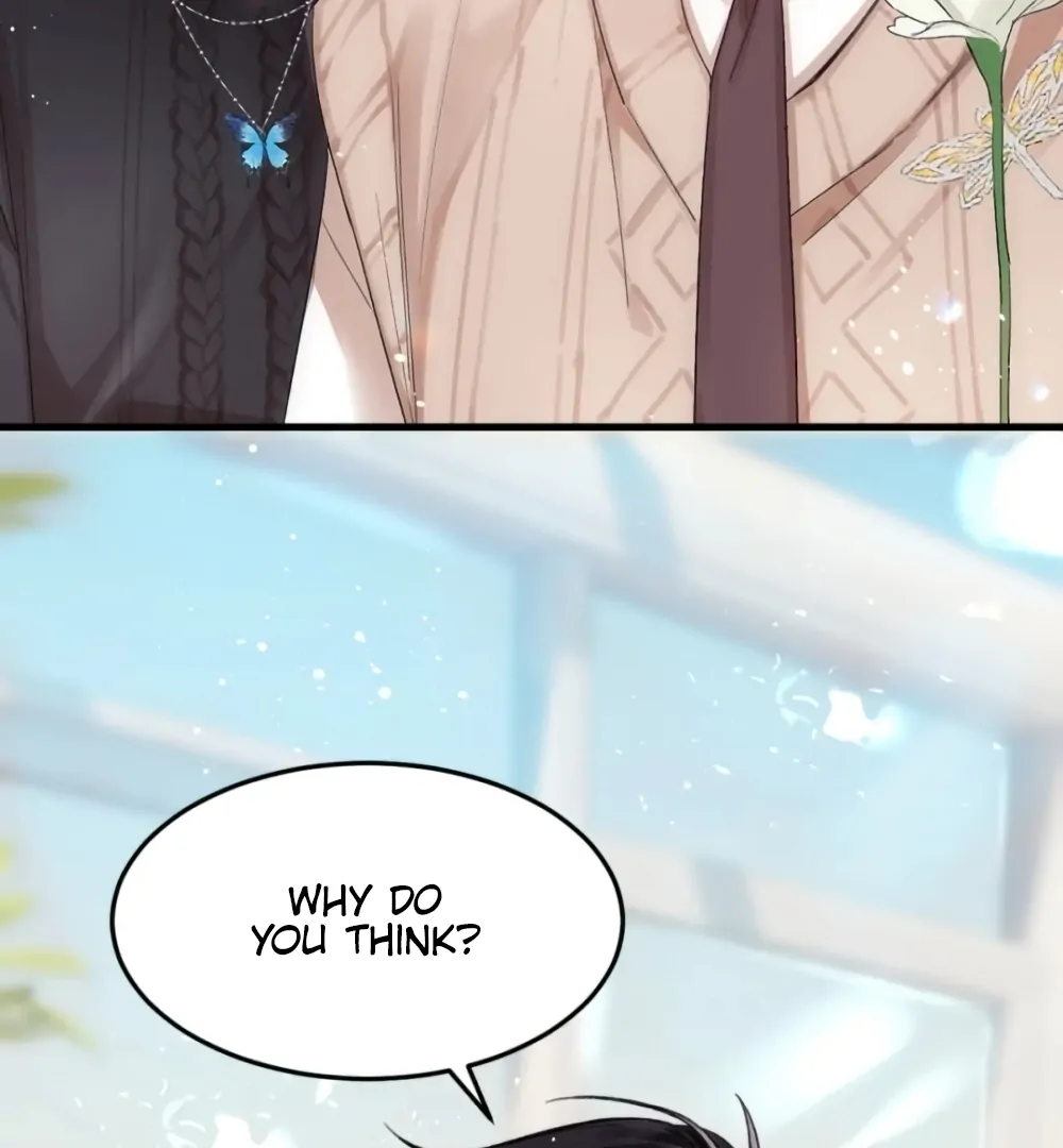 Fanservice Paradox - Chapter 36 manhwa