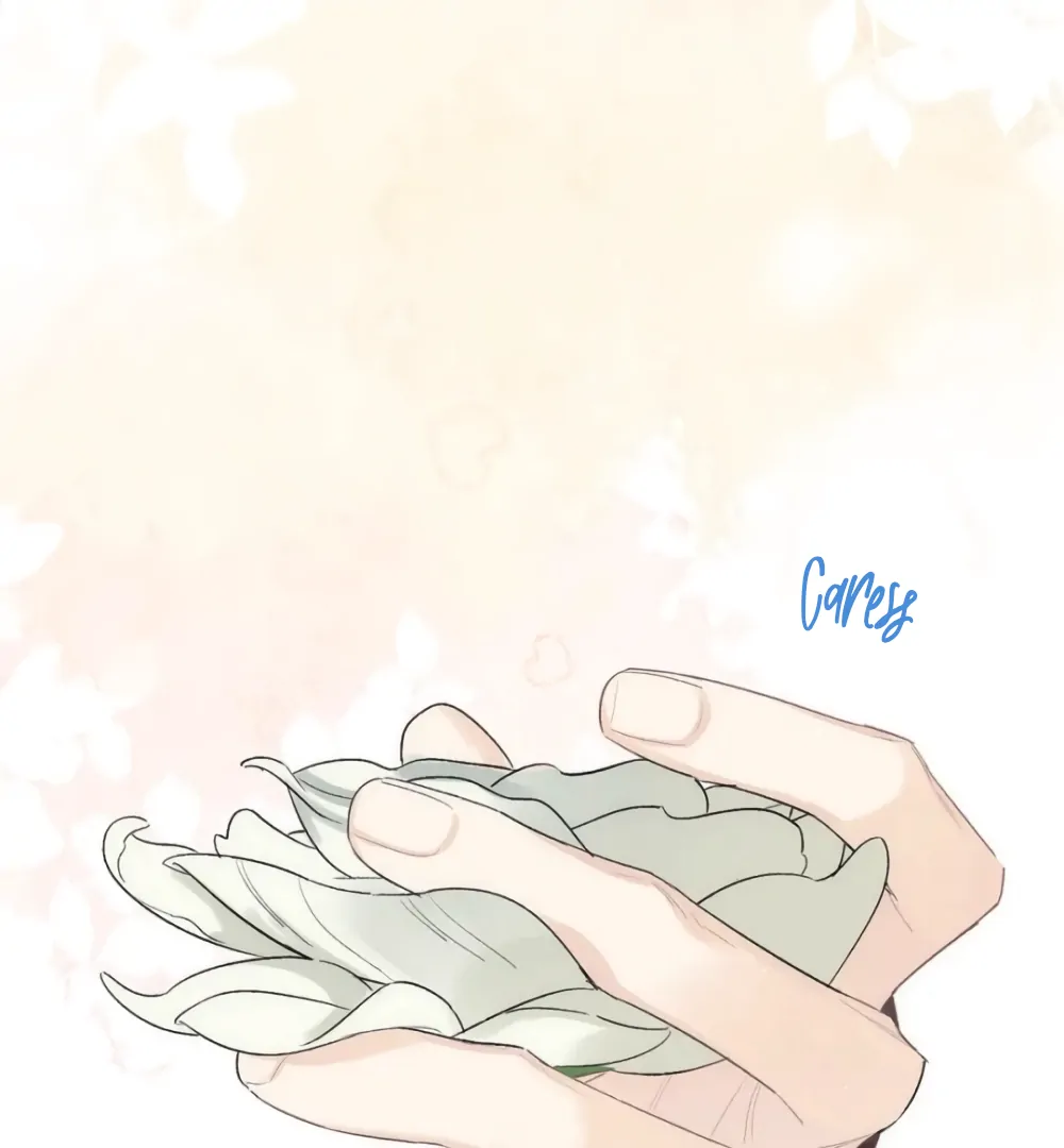 Fanservice Paradox - Chapter 36 manhwa