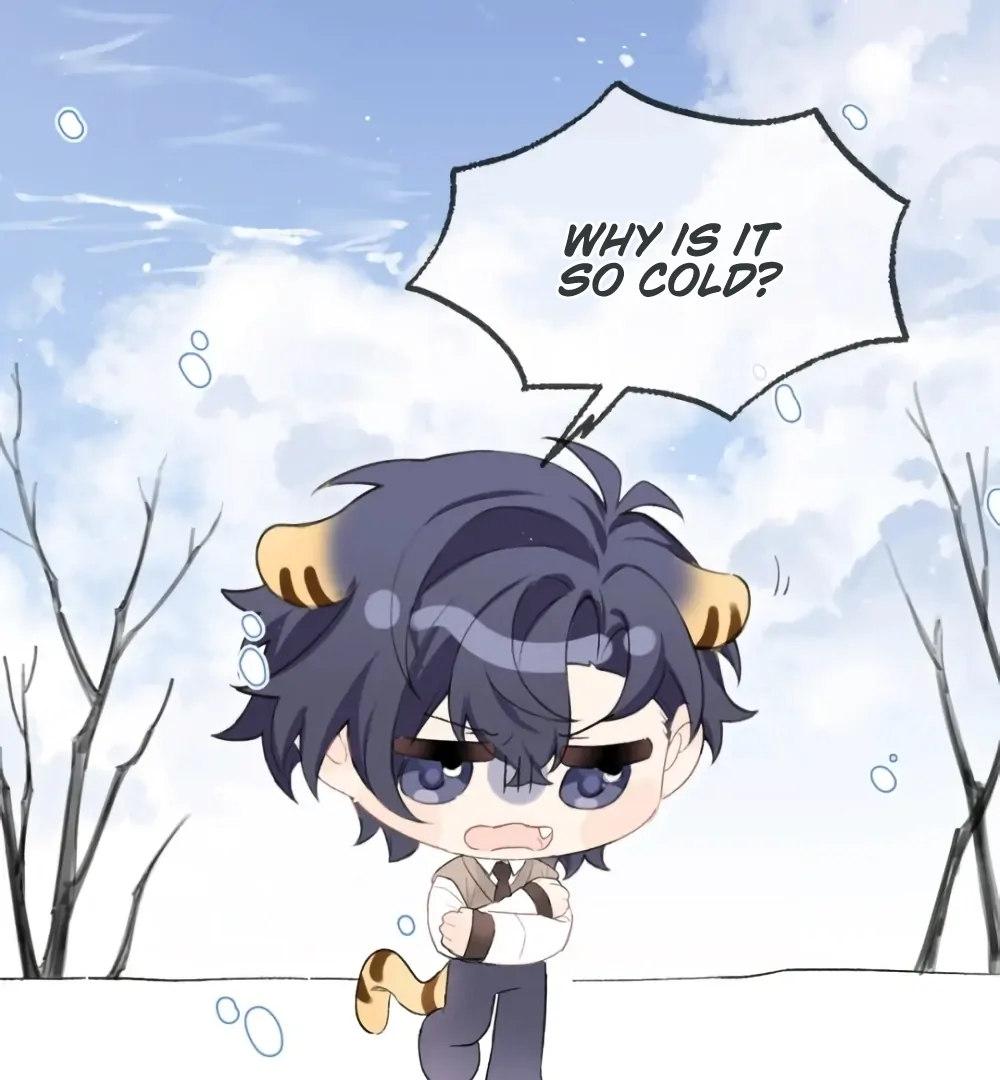 Fanservice Paradox - Chapter 37.5 manhwa
