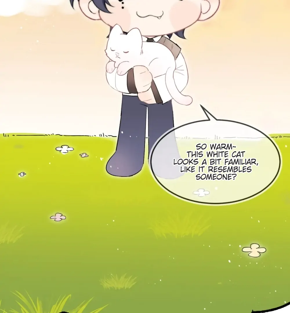 Fanservice Paradox - Chapter 37.5 manhwa