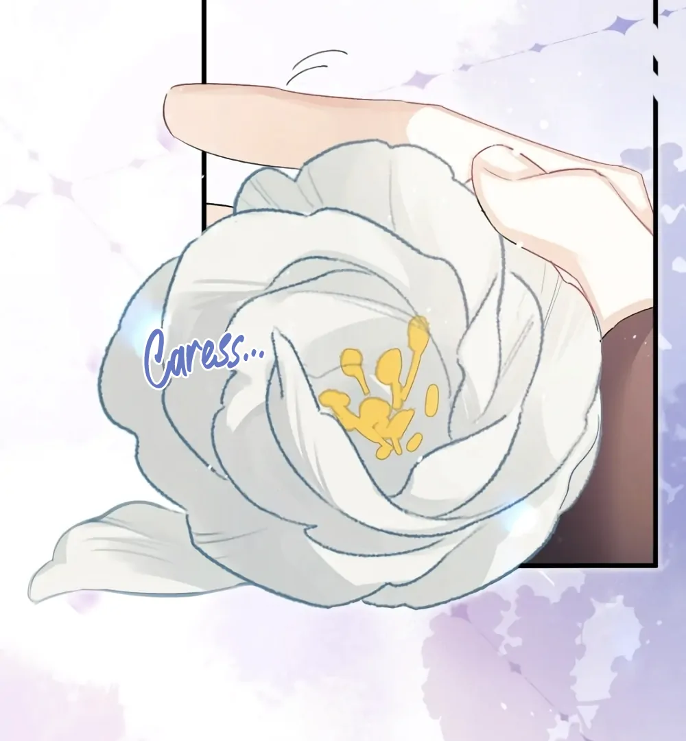 Fanservice Paradox - Chapter 37 manhwa