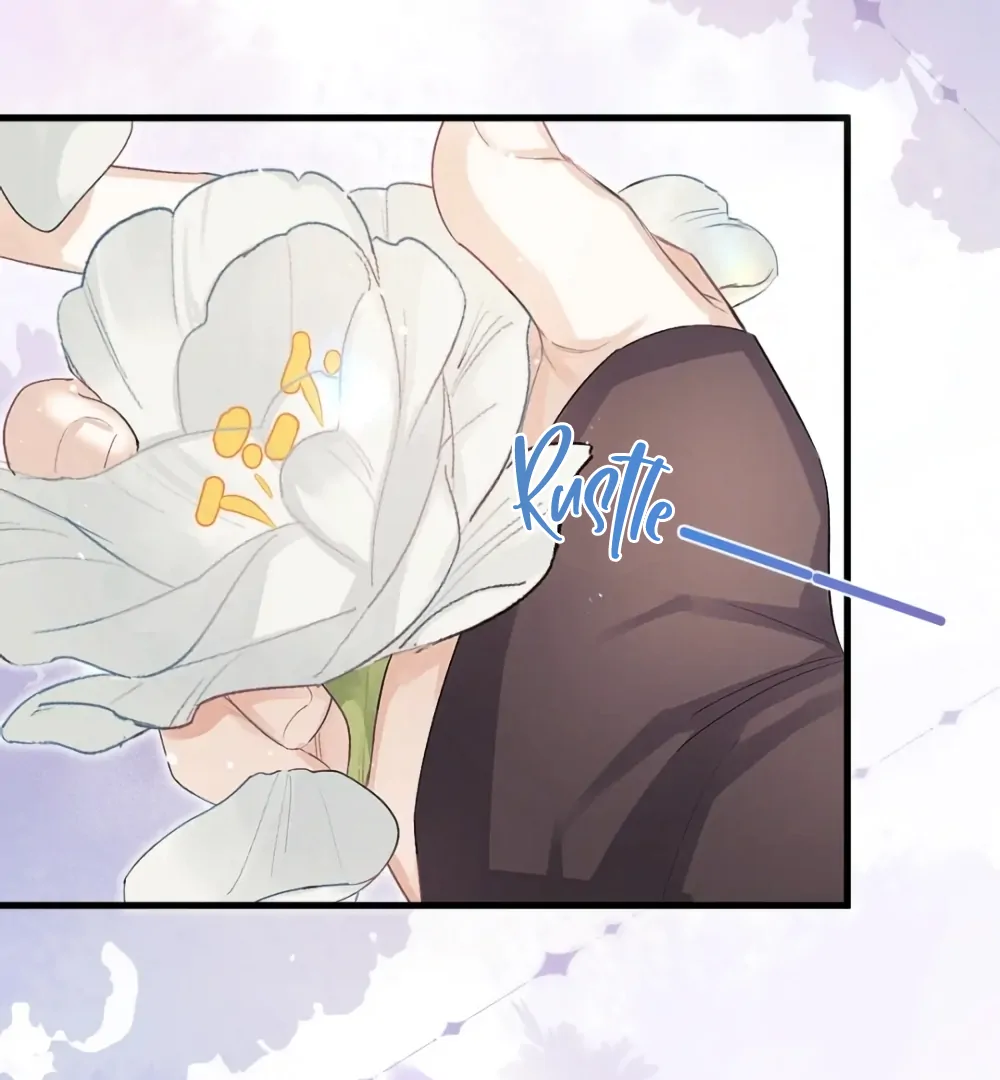 Fanservice Paradox - Chapter 37 manhwa