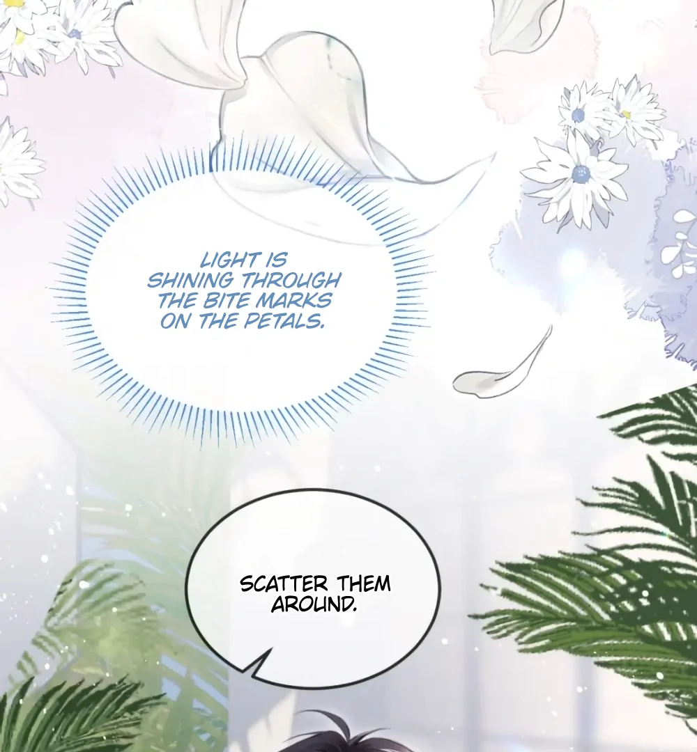 Fanservice Paradox - Chapter 37 manhwa
