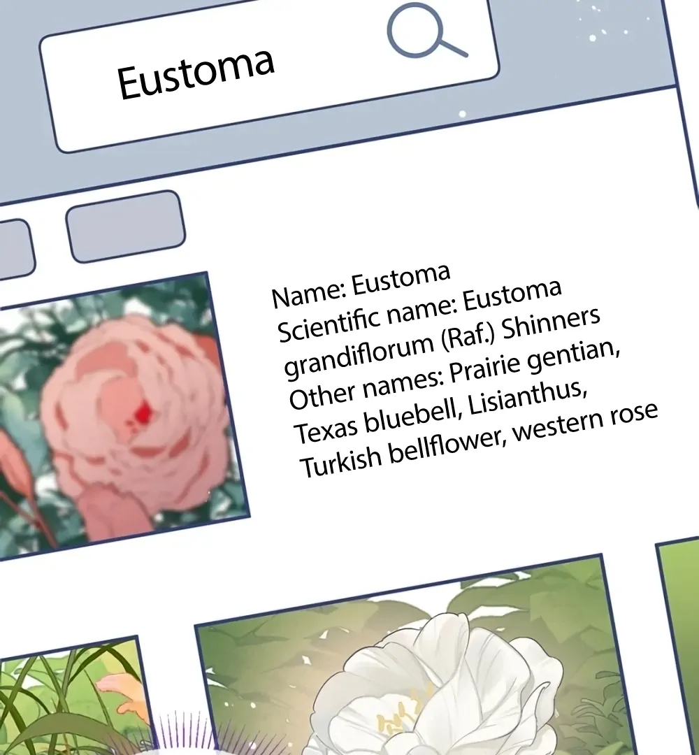 Fanservice Paradox - Chapter 38 manhwa