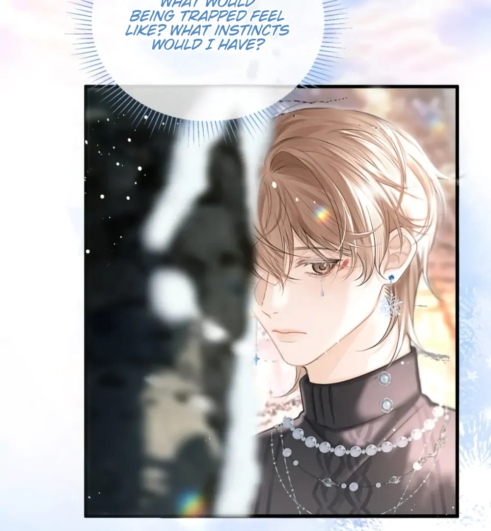 Fanservice Paradox - Chapter 40 manhwa