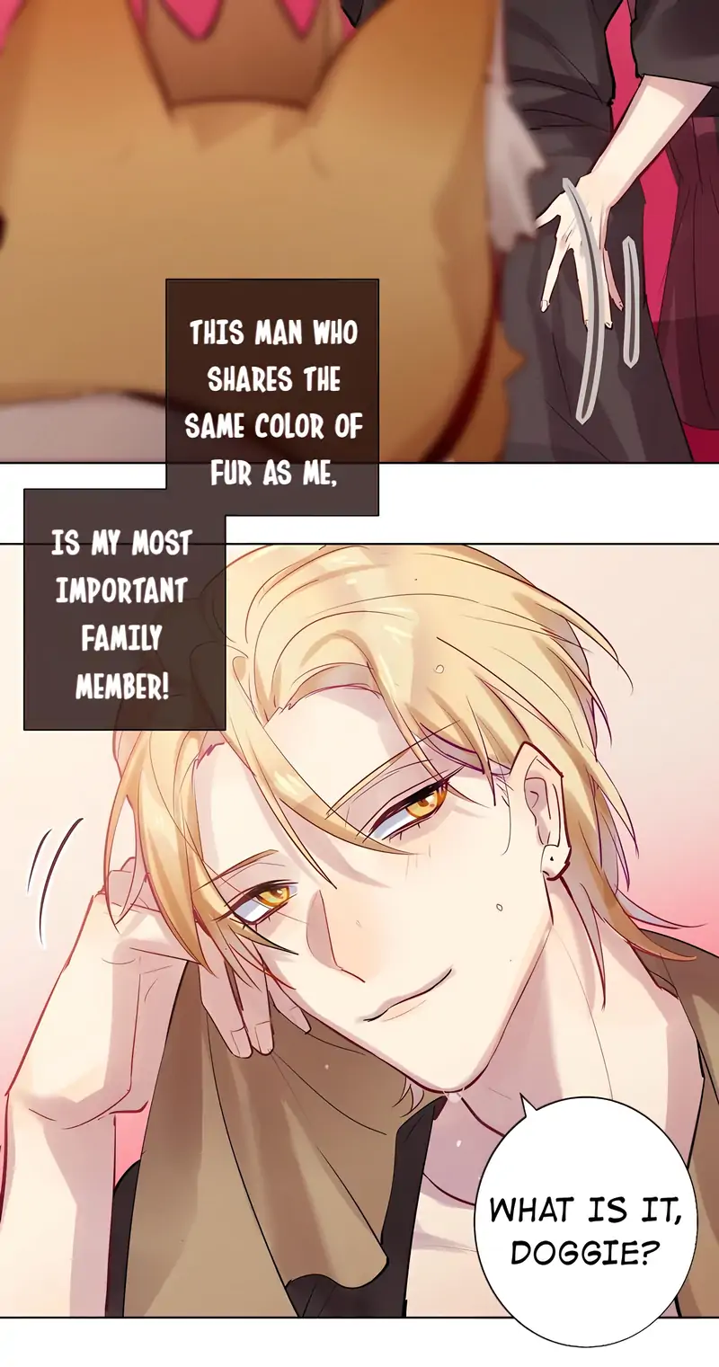 My Boyfriend’s Love Complex [Official] - 115 - Master Dresses Up manhwa