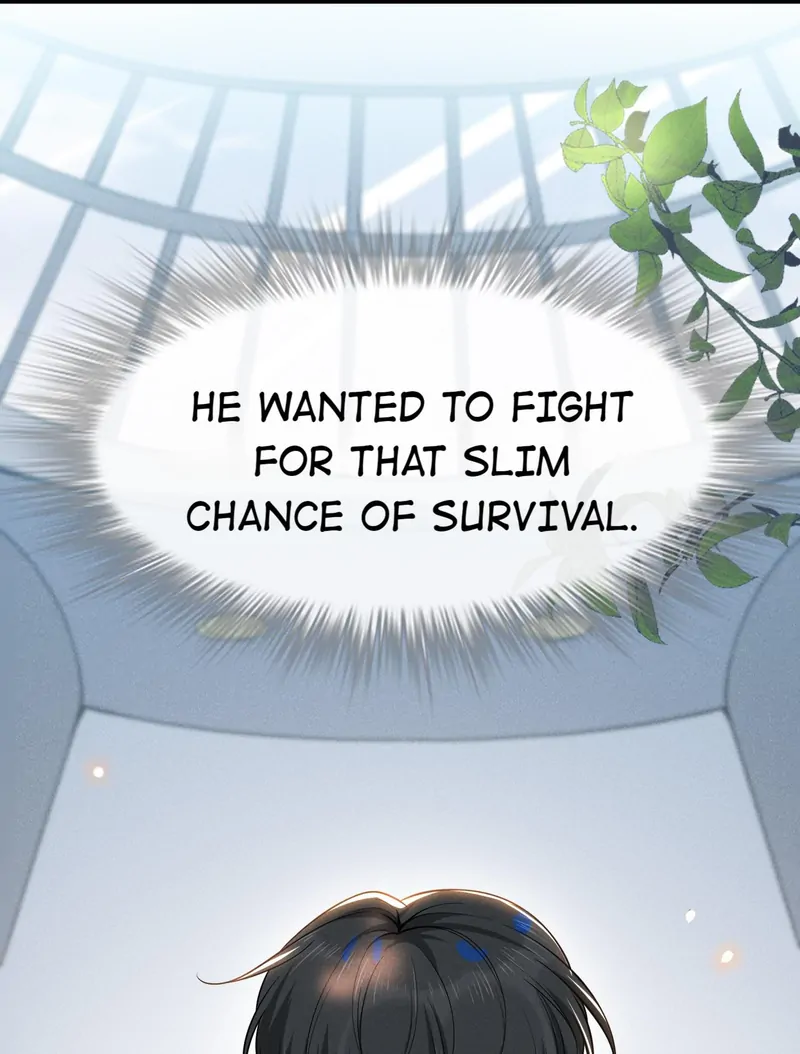 See You Never [Official] - 36 - Did He Admit to Being President Song's Husband? manhwa