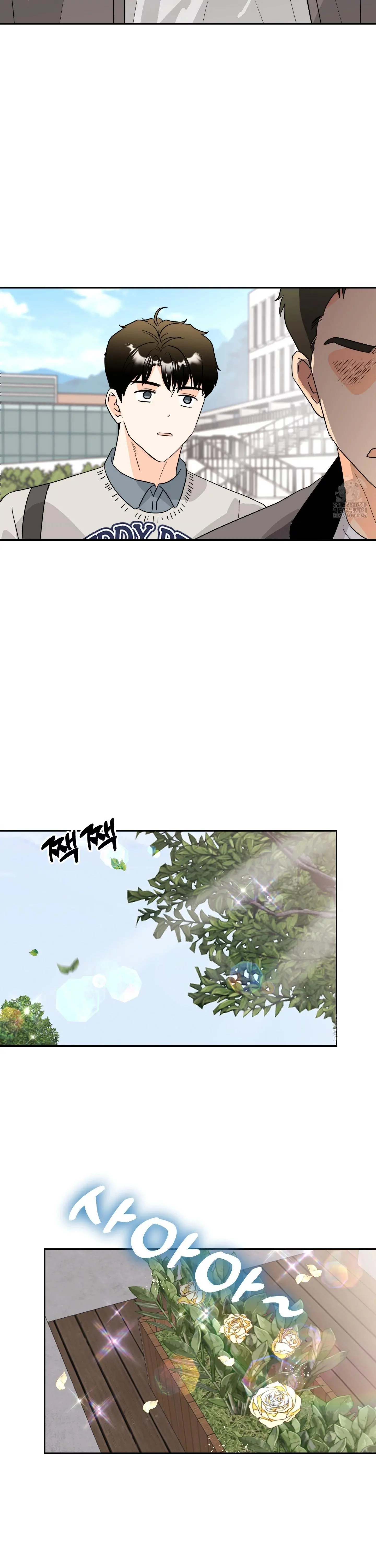 Non Conditional You - Episode 10 manhwa