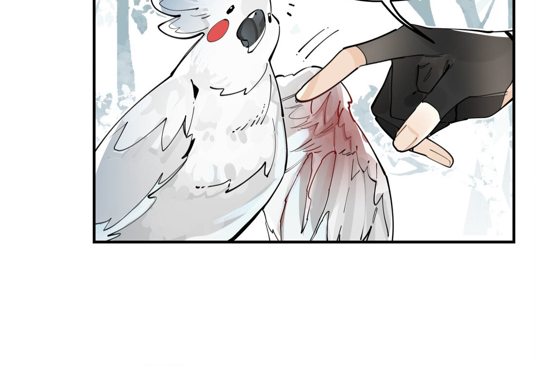 Have You Seen My Brother - Chapter 65 manhwa