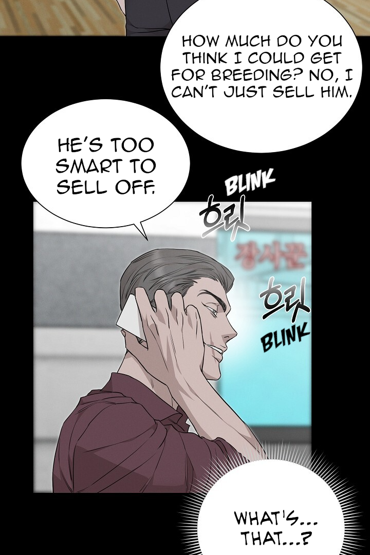 Morpheus 𖤍 DLS 𖤍 - Chapter 11 manhwa